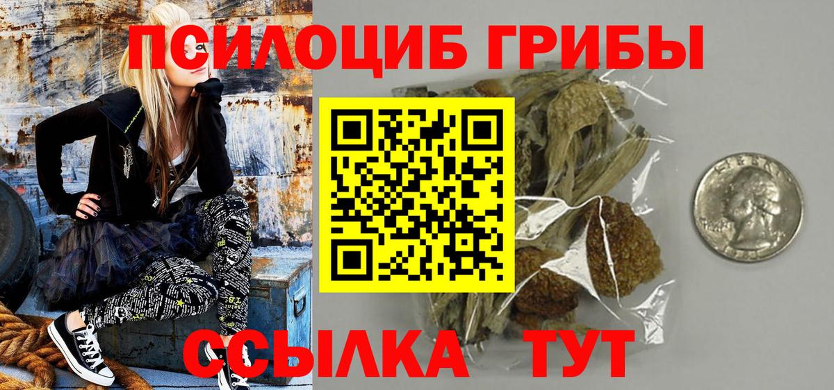 Черняховск  Псилоцибиновые грибы мицелий  Галлюциногенные грибы ЛСД  Вход с VPN 